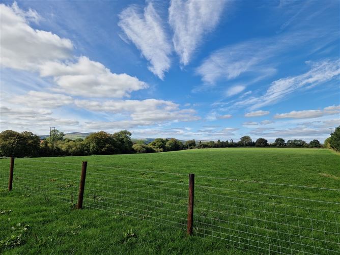 Main image for Approx. 16.2 ha (40 acres), Cooladangan , Arklow, Wicklow