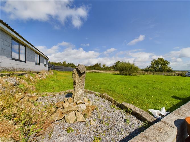 Ballinakill, Ballickmoyler, Carlow Town, Carlow