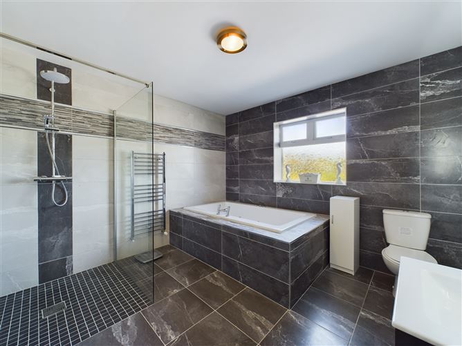 Ballinakill, Ballickmoyler, Carlow Town, Carlow