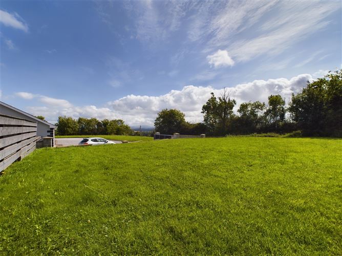 Ballinakill, Ballickmoyler, Carlow Town, Carlow