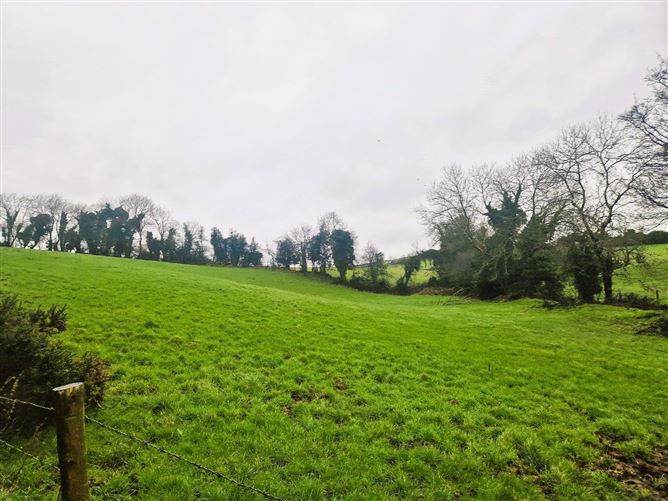 Lands Erryroe, Castleblaney, Co. Monaghan