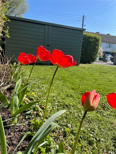 16 Auburn Road, Glenageary, Co. Dublin