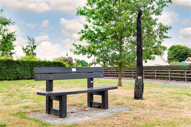 Type B1, Cluain Dara, Derrinturn, Co. Kildare, Derrinturn, Kildare