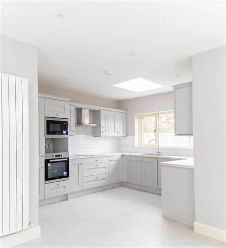 Type B1, Cluain Dara, Derrinturn, Co. Kildare, Derrinturn, Kildare