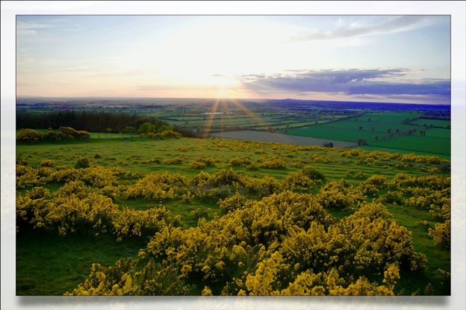 Type B1, Cluain Dara, Derrinturn, Co. Kildare, Derrinturn, Kildare