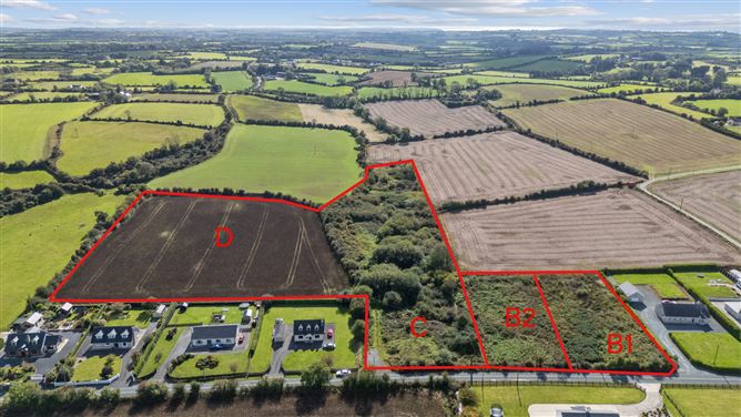 Lot 2, Killesk, Campile, New Ross, Co. Wexford