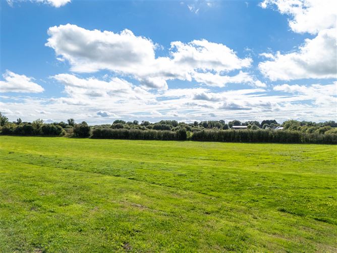 Bracklin Little, Kilbeggan, County Westmeath