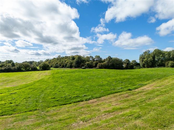 Bracklin Little, Kilbeggan, County Westmeath