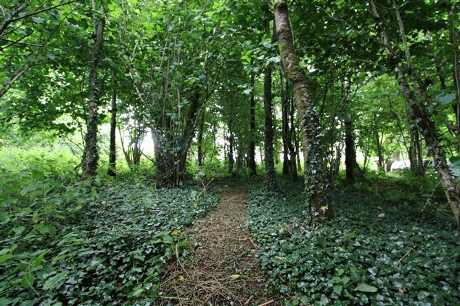 Cahergal, Tuam, Co. Galway