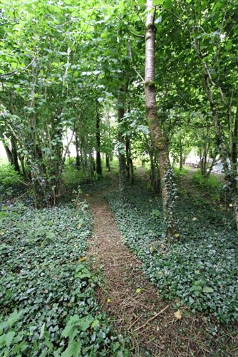 Cahergal, Tuam, Co. Galway