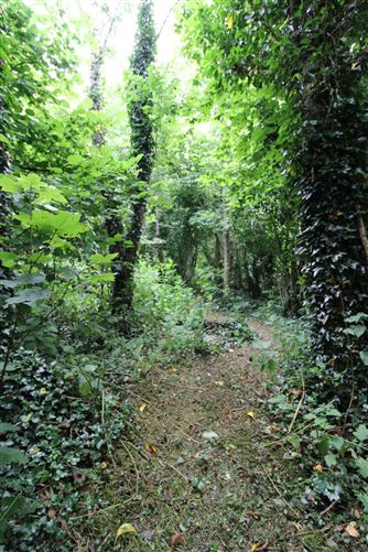 Cahergal, Tuam, Co. Galway