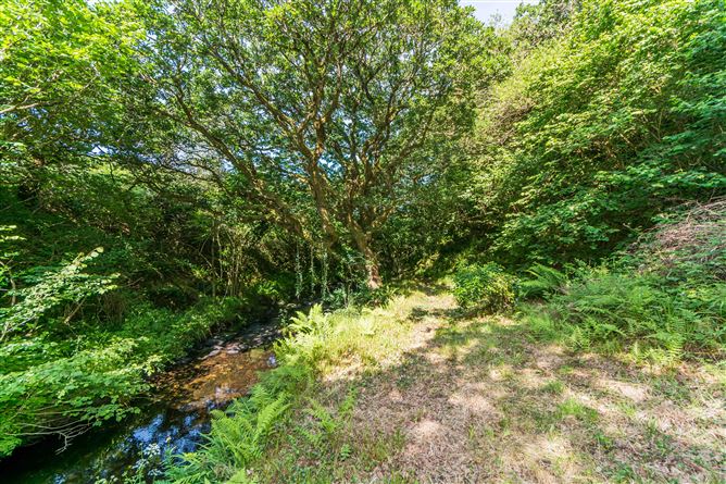 Riverwood, Gurteenroe, , Ballydehob, West Cork