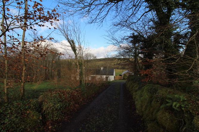 Crummy Cottage, Drumcong, Drumshanbo, Leitrim, Leitrim