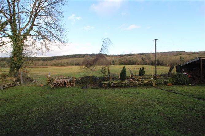 Crummy Cottage, Drumcong, Drumshanbo, Leitrim, Leitrim