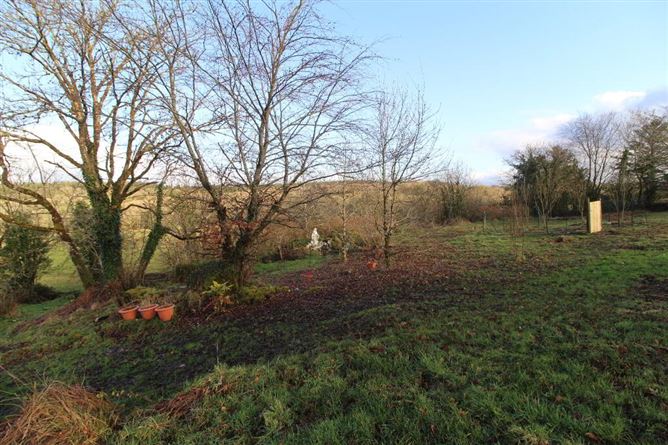 Crummy Cottage, Drumcong, Drumshanbo, Leitrim, Leitrim