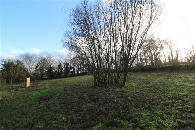 Crummy Cottage, Drumcong, Drumshanbo, Leitrim, Leitrim