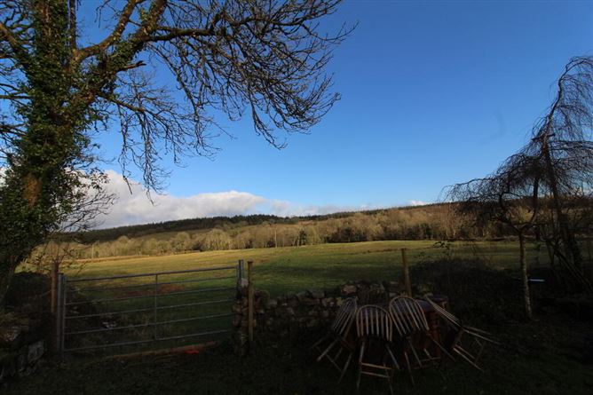 Crummy Cottage, Drumcong, Drumshanbo, Leitrim, Leitrim