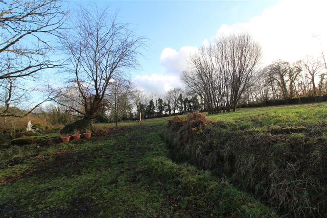 Crummy Cottage, Drumcong, Drumshanbo, Leitrim, Leitrim