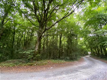 Image for Ballinahallia (Mature Woodlands), Moycullen, Galway