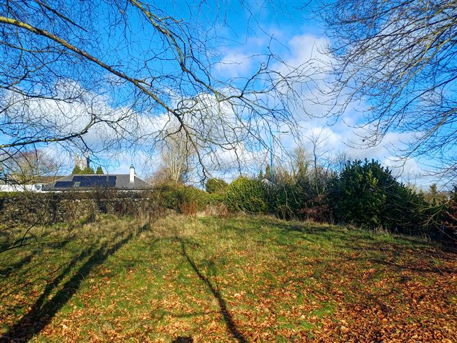 Newtowncashel Village, Newtowncashel, Longford