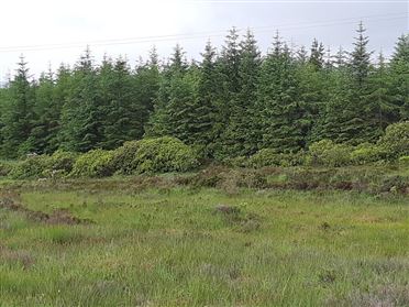 Image for Forestry Lots, Ballintra Area, Ballintra, Donegal