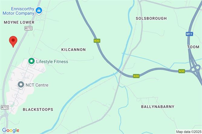 Moyne Lower, Enniscorthy, Co. Wexford