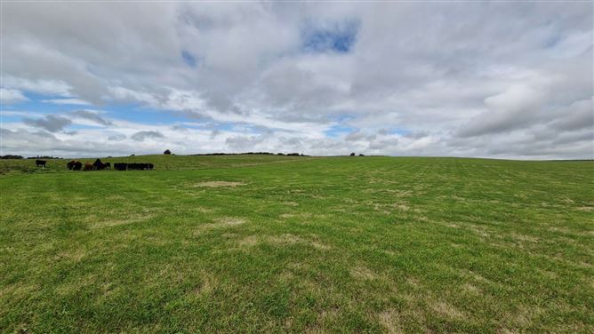 27acres of Land, Cortoon, Tuam, Co. Galway