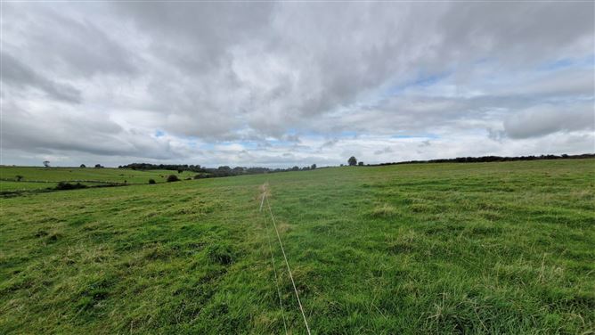 27acres of Land, Cortoon, Tuam, Co. Galway