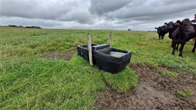 27acres of Land, Cortoon, Tuam, Co. Galway