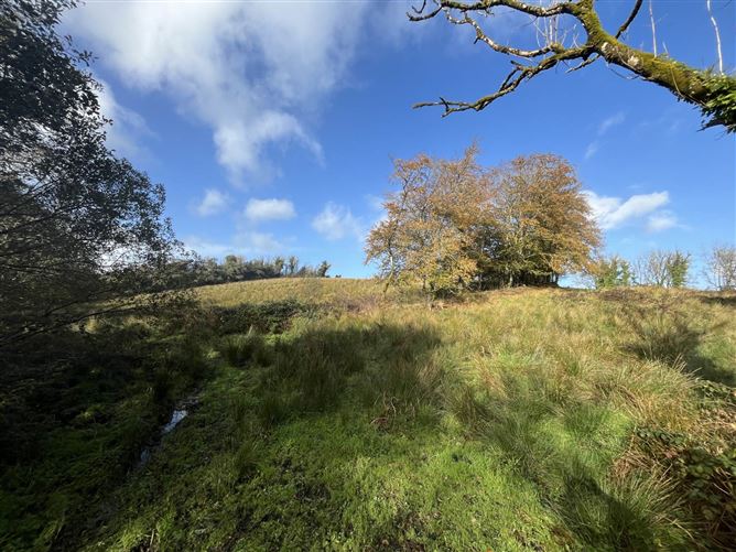 C. 24 Acres, Ballysumaghan, Ballintogher, County Sligo