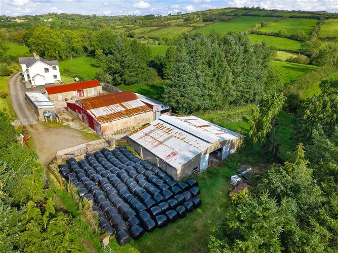 House and Lands, Derryham, Bailieborough, Co. Cavan