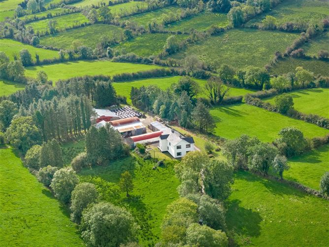 House and Lands, Derryham, Bailieborough, Co. Cavan