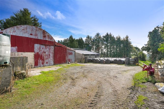 House and Lands, Derryham, Bailieborough, Co. Cavan