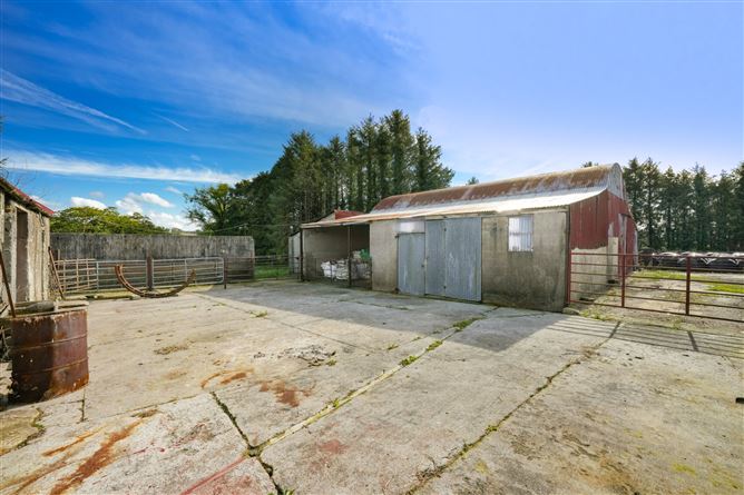 House and Lands, Derryham, Bailieborough, Co. Cavan