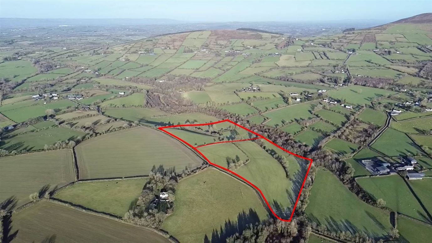 Rosdellig (C. 20 Acres), Borris, County Carlow
