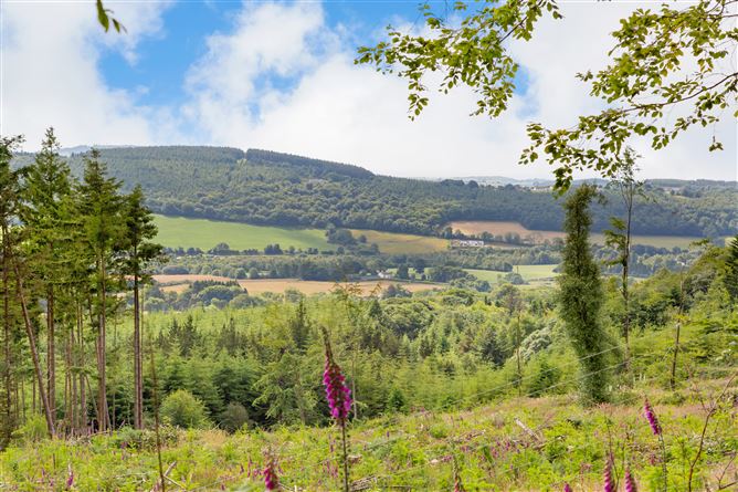 Plot of land c. 0.52 acres at Ballymoate, Glenealy, Wicklow