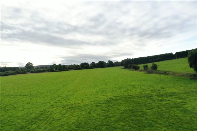 Land c. 51.5 Acres / 20.84 HA., Blackdown, Kilteel, Kildare