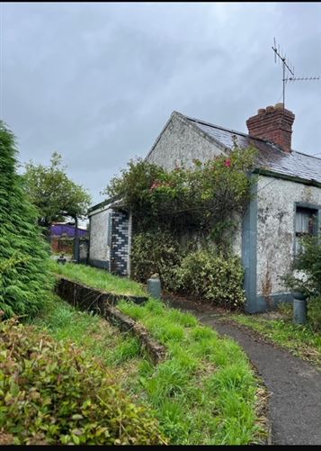 The Course, Durrow, Laois