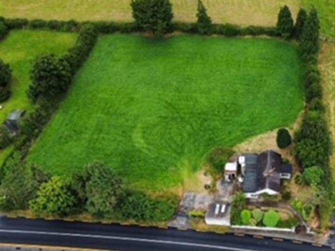 The Course, Durrow, Laois