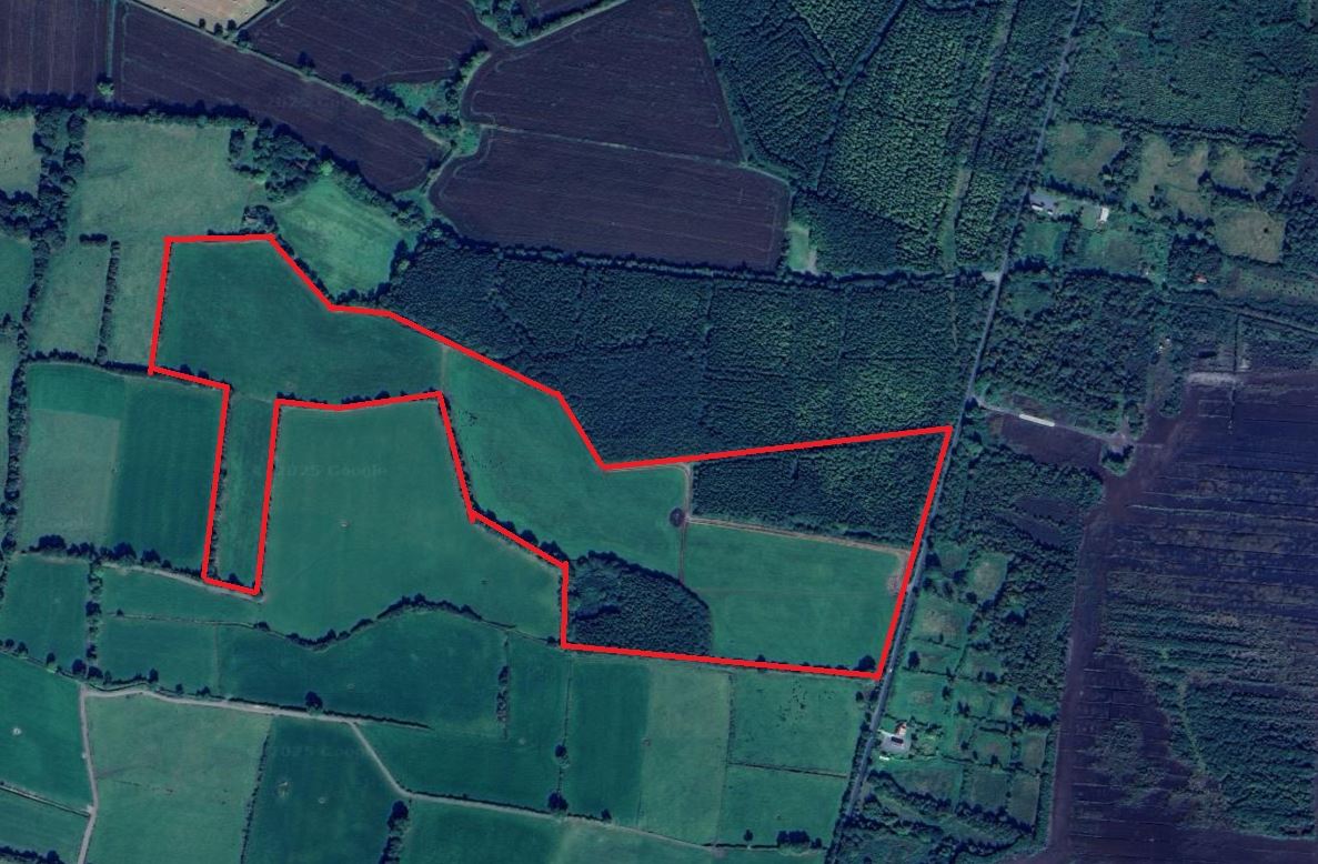 40.62 Acres, Ballaghassaan, Walshisland, Co. Offaly