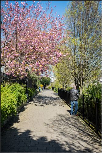 37 INNISFALLON PARADE, Phibsborough, Dublin 7