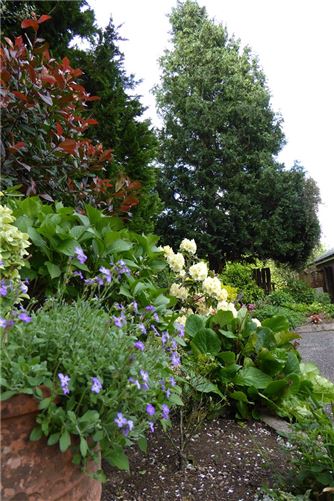 Derreen, Church Hill, Glanmire, Co. Cork