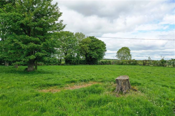 Inchorourke, Urlingford, Co. Tipperary