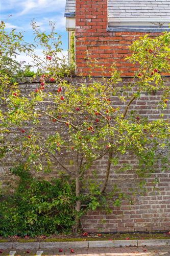 49 The Orchard, Lucan Village, Lucan, Dublin
