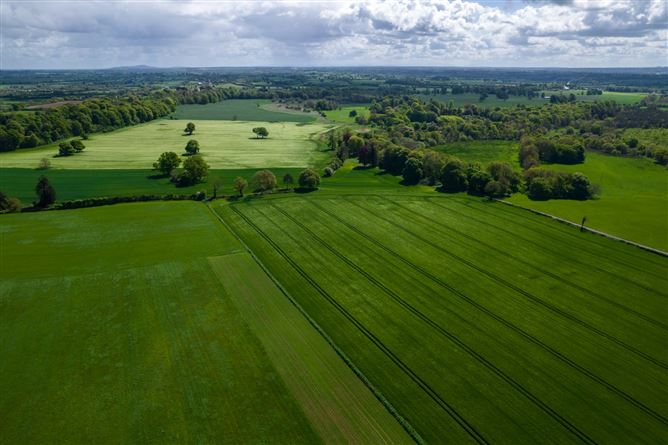 Coniker, Durrow, Tullamore, Co. Offaly