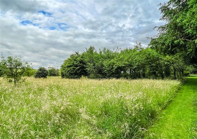 Lissalway, Castlerea, Co. Roscommon