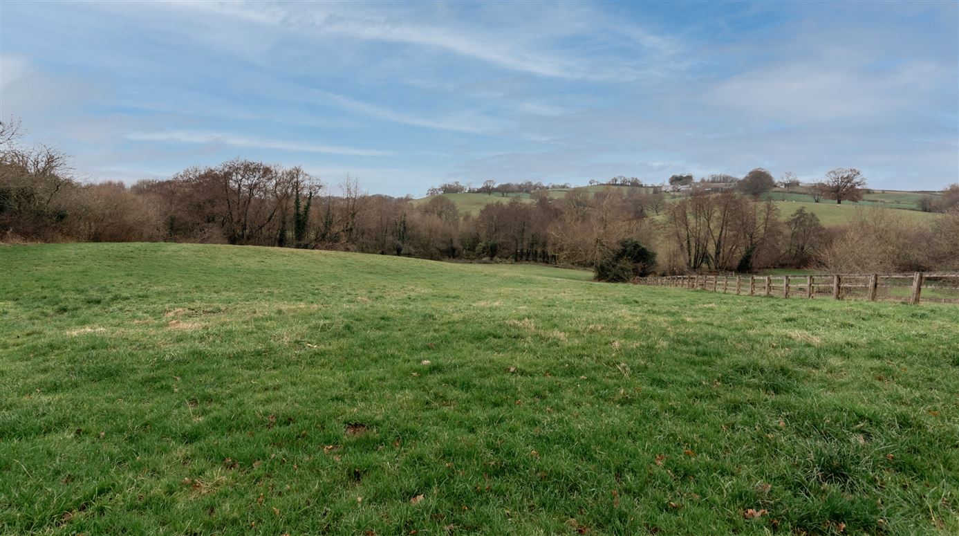 Haybales & Horses,Dingestow, Monmouthshire, Wales