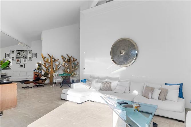 Palms & Palais,Cannes,Provence-Alps-French Riviera,France
