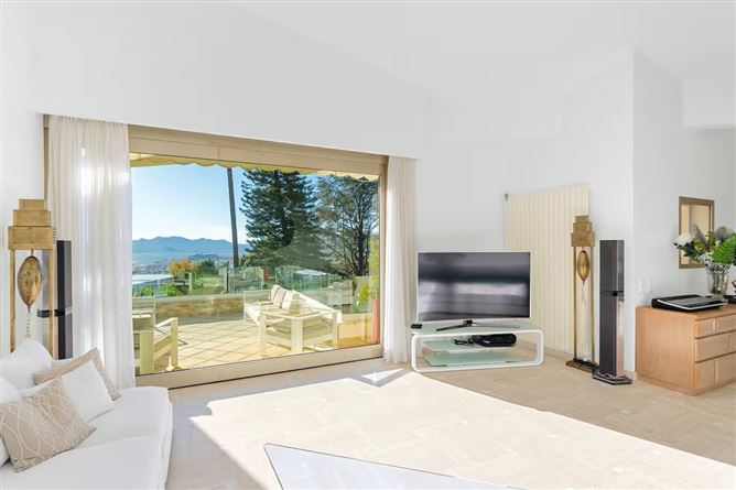 Palms & Palais,Cannes,Provence-Alps-French Riviera,France