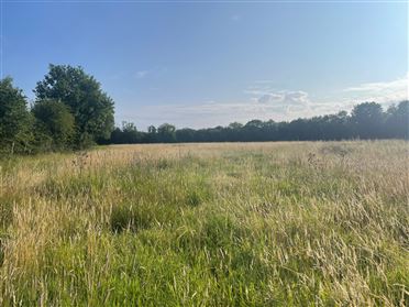 Image for 4.5 Acres, Daars North, Sallins, County Kildare